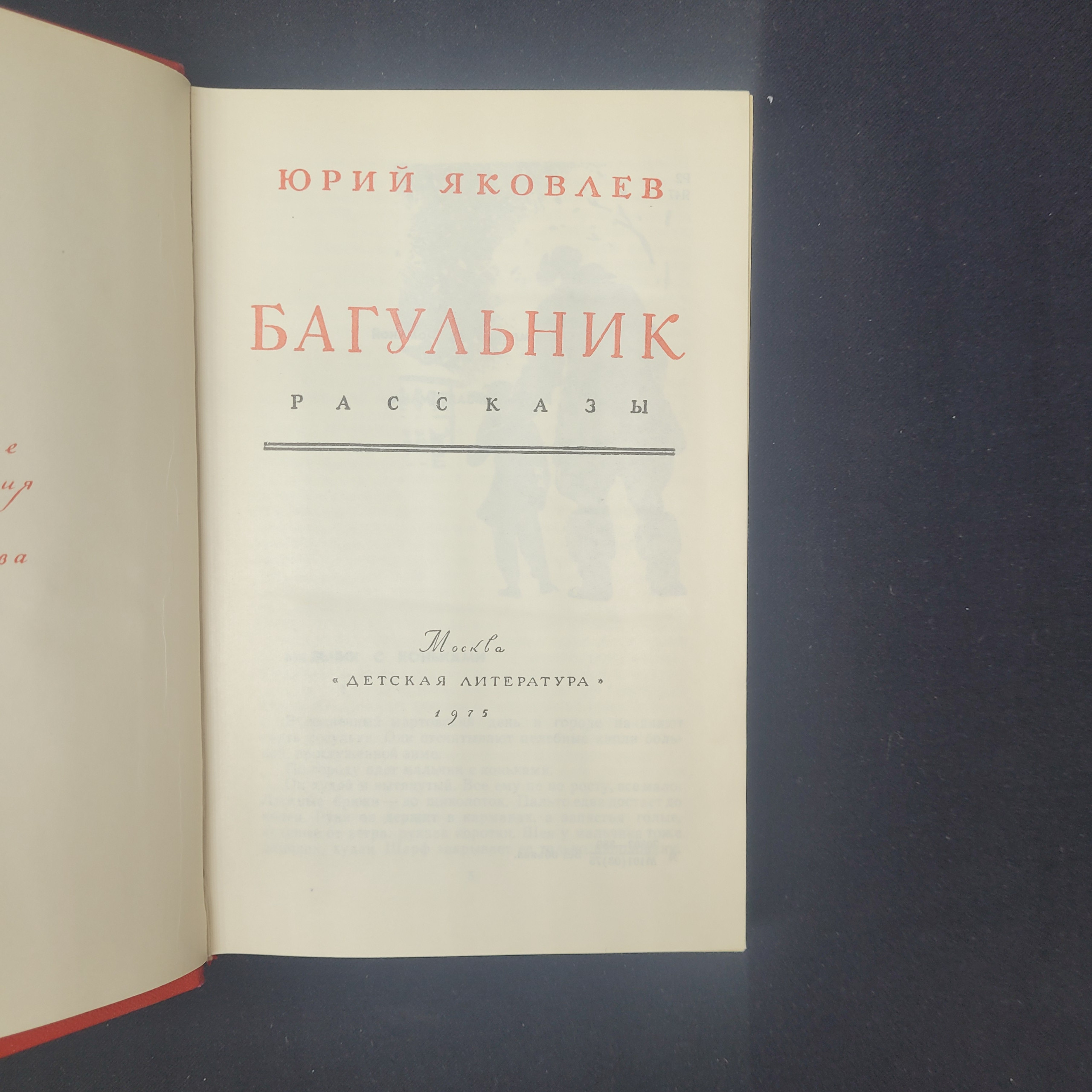 Картинка 4