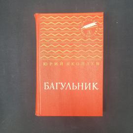 Картинка 1