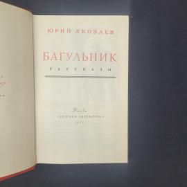 Картинка 4