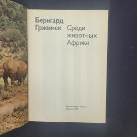Картинка 4