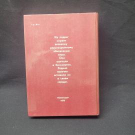 Картинка 3