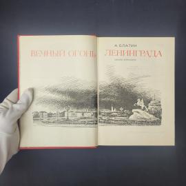 Картинка 4