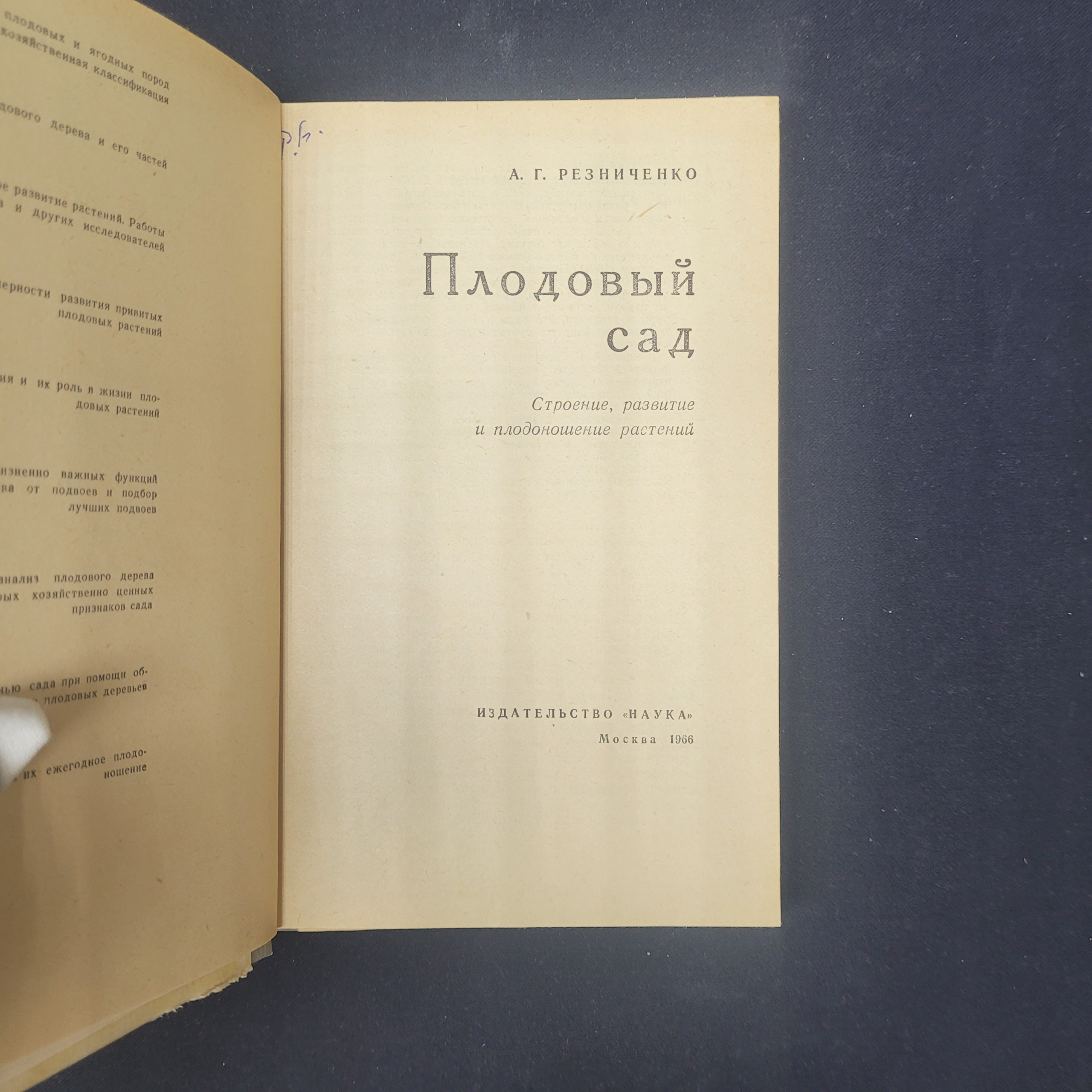 Картинка 4