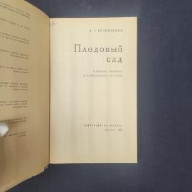 Картинка 4