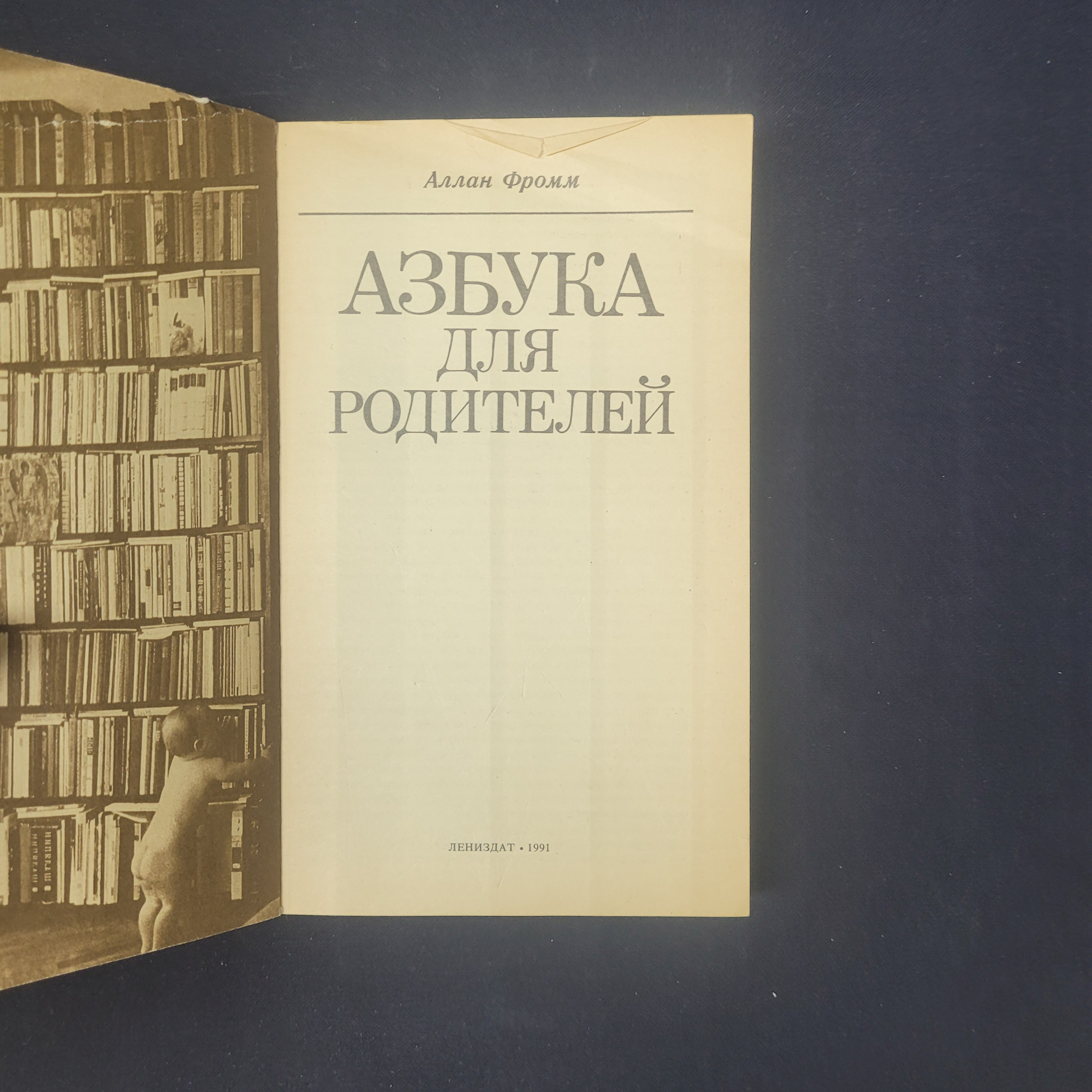 Картинка 4