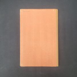 Картинка 2