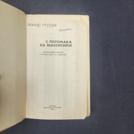 Картинка 4