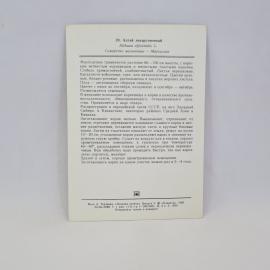 Картинка 2