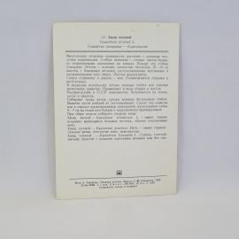 Картинка 2
