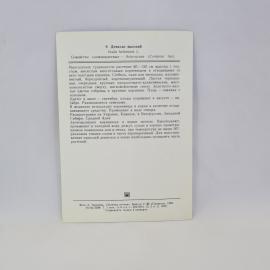 Картинка 2