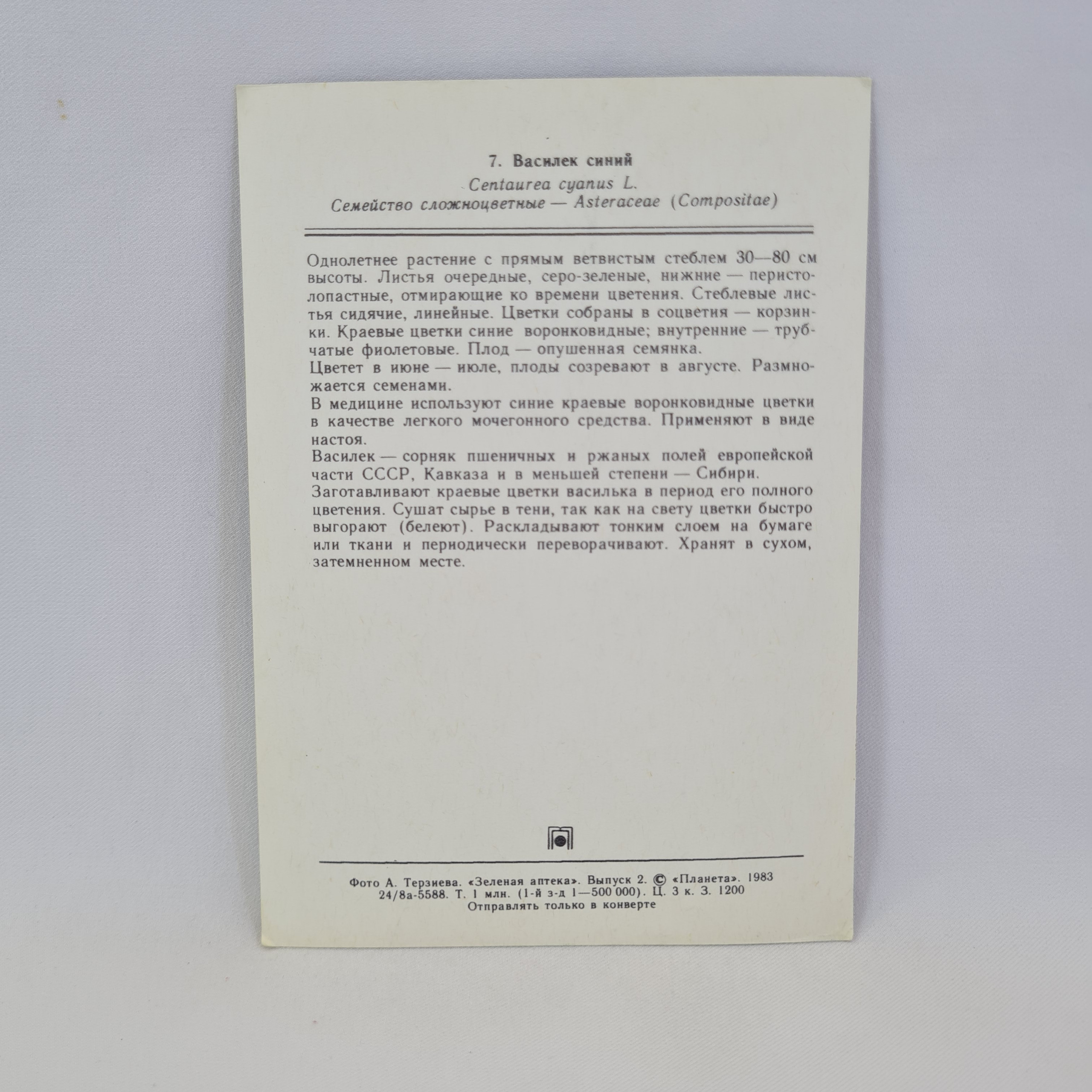 Картинка 2