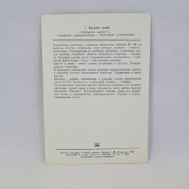Картинка 2