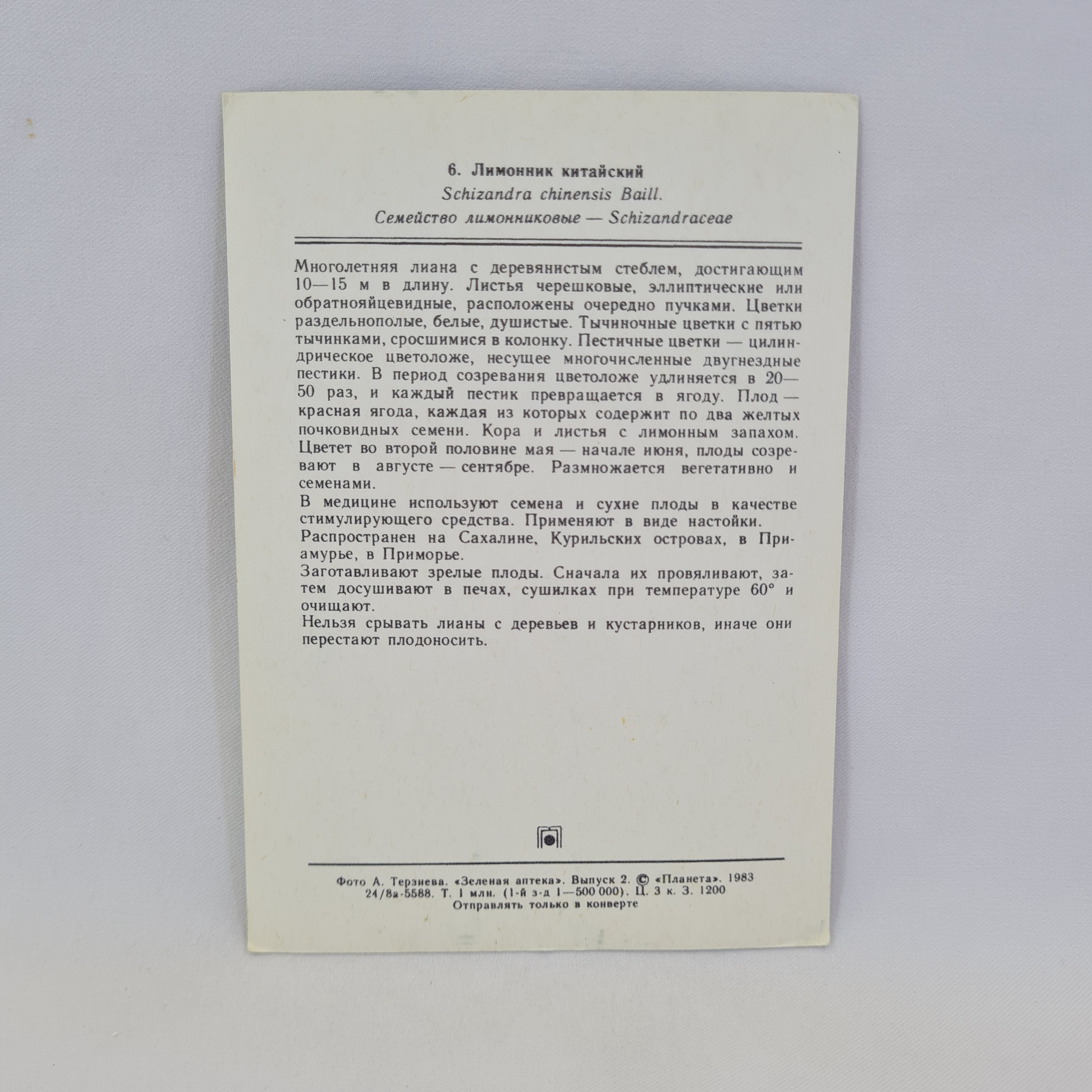 Картинка 2