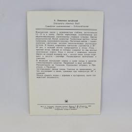 Картинка 2