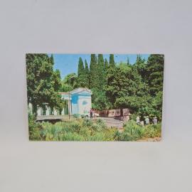 Картинка 1