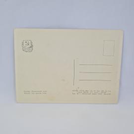 Картинка 2