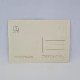 Картинка 2