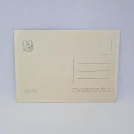 Картинка 2