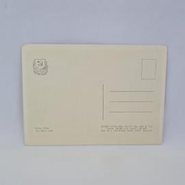 Картинка 2