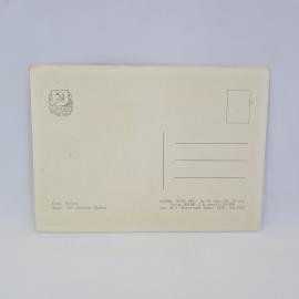 Картинка 2