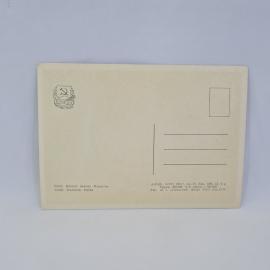 Картинка 2