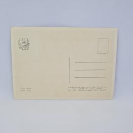 Картинка 2
