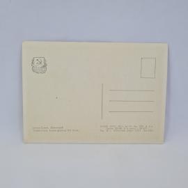 Картинка 2
