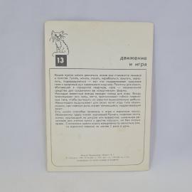 Картинка 2