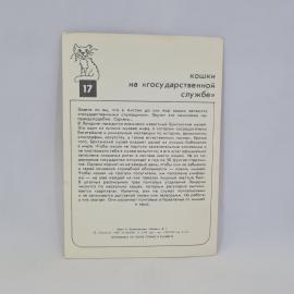 Картинка 2