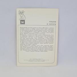 Картинка 2