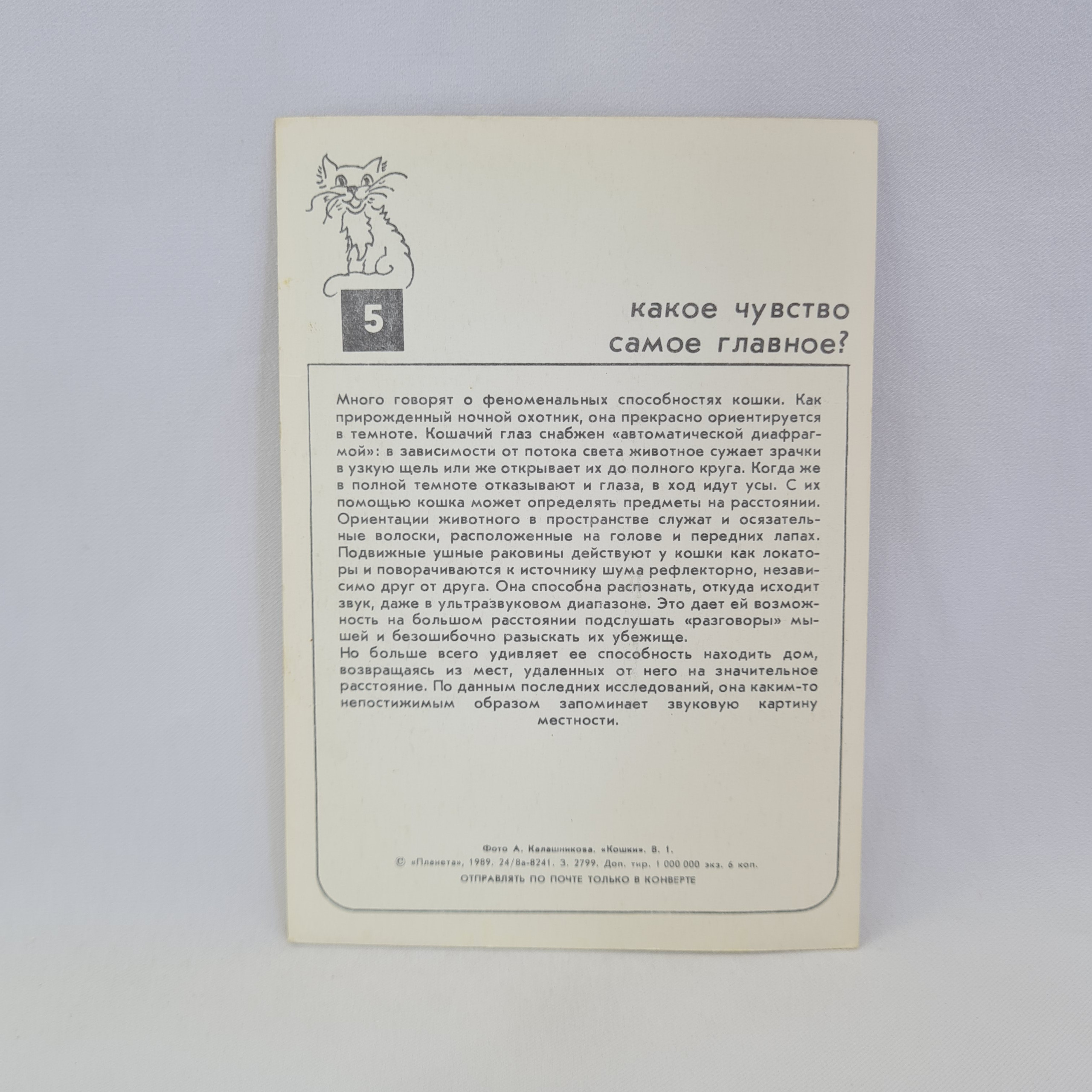 Картинка 2