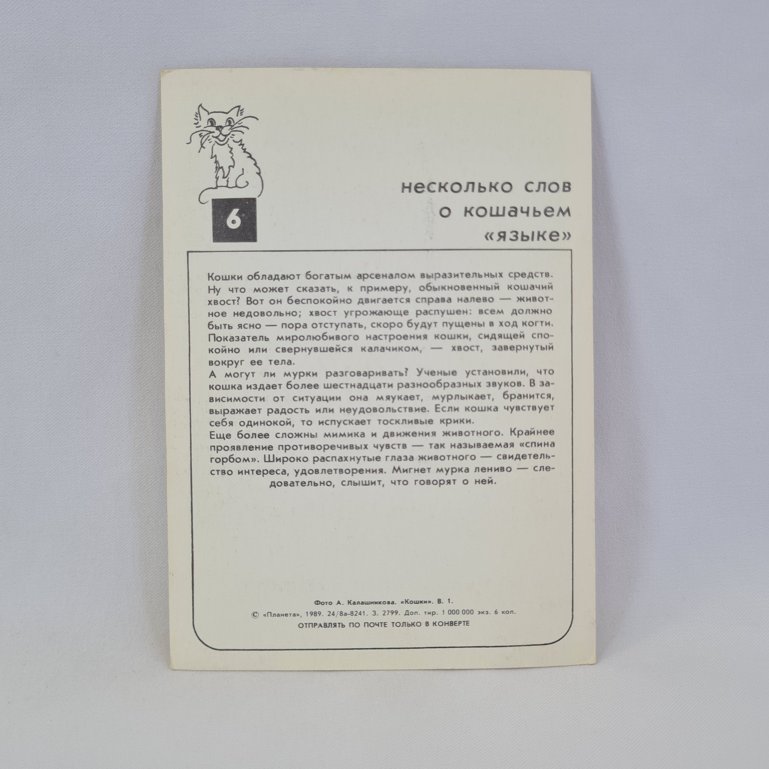 Картинка 2