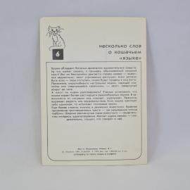 Картинка 2