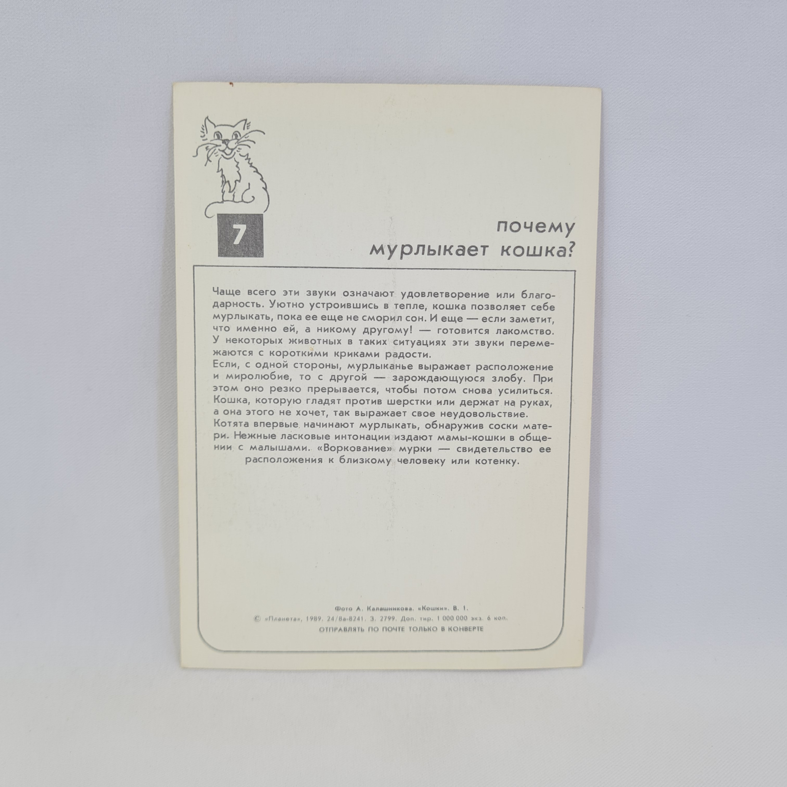 Картинка 2