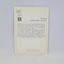 Картинка 2