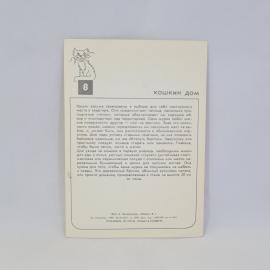 Картинка 2