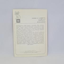 Картинка 2