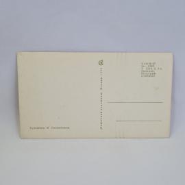 Картинка 2