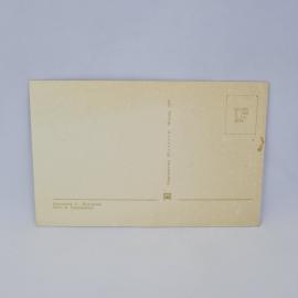 Картинка 2