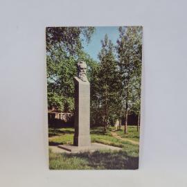 Картинка 1