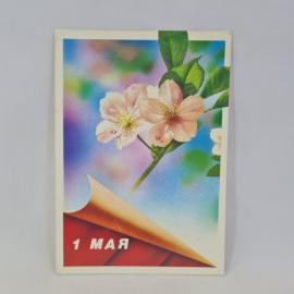 Картинка 1