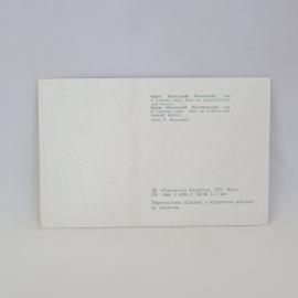 Картинка 2
