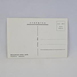 Картинка 2