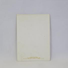 Картинка 3