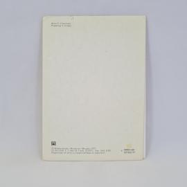 Картинка 3