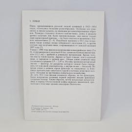 Картинка 2