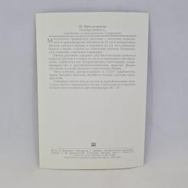 Картинка 2