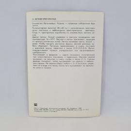 Картинка 2