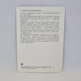 Картинка 2