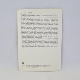 Картинка 2